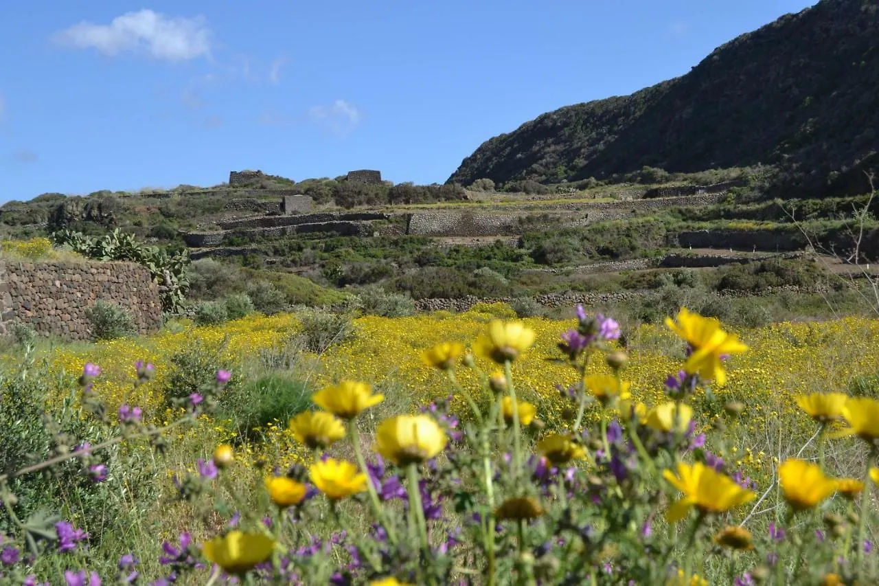 Biodammuso Scauri  Casa vacanze Scauri (Sicily)